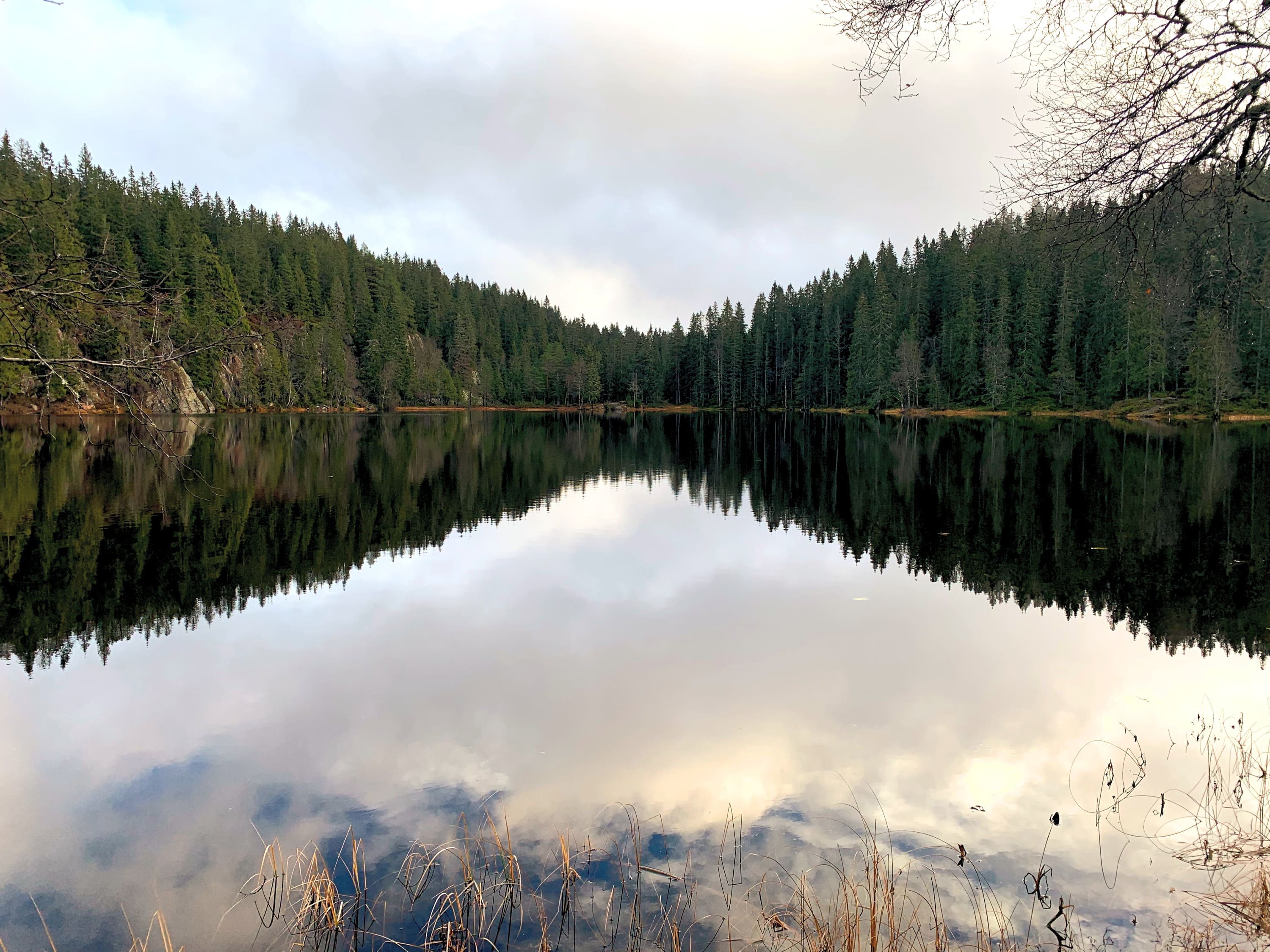 Picturesque lake at Tryvannstua in Nordmarka, surrounded by lush greenery.