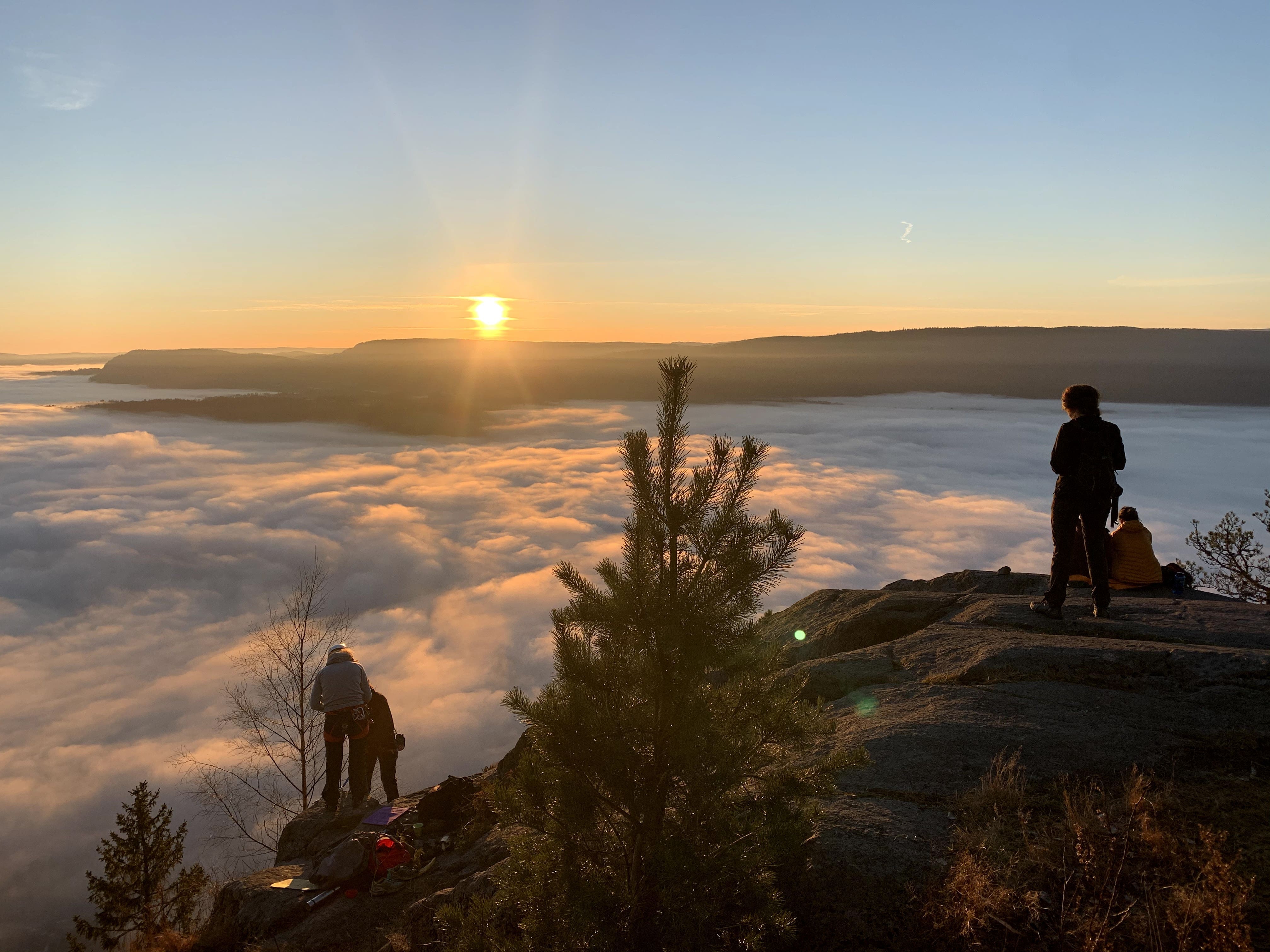 View from Kolsåstoppen, showcasing a panoramic scene of Oslo and Oslofjord at sunset.