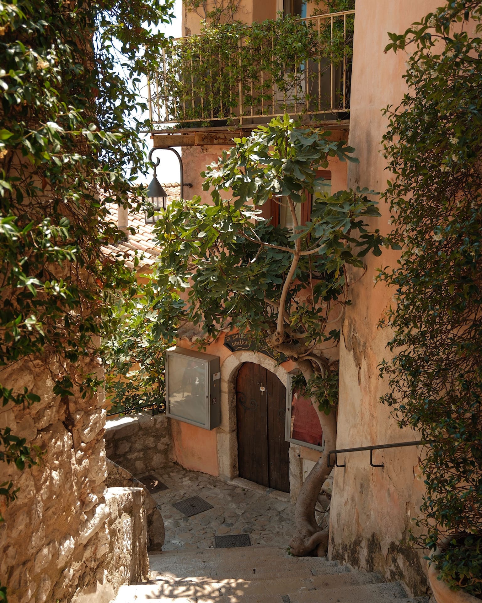 Nice to Èze Village: Complete Day Trip Guide