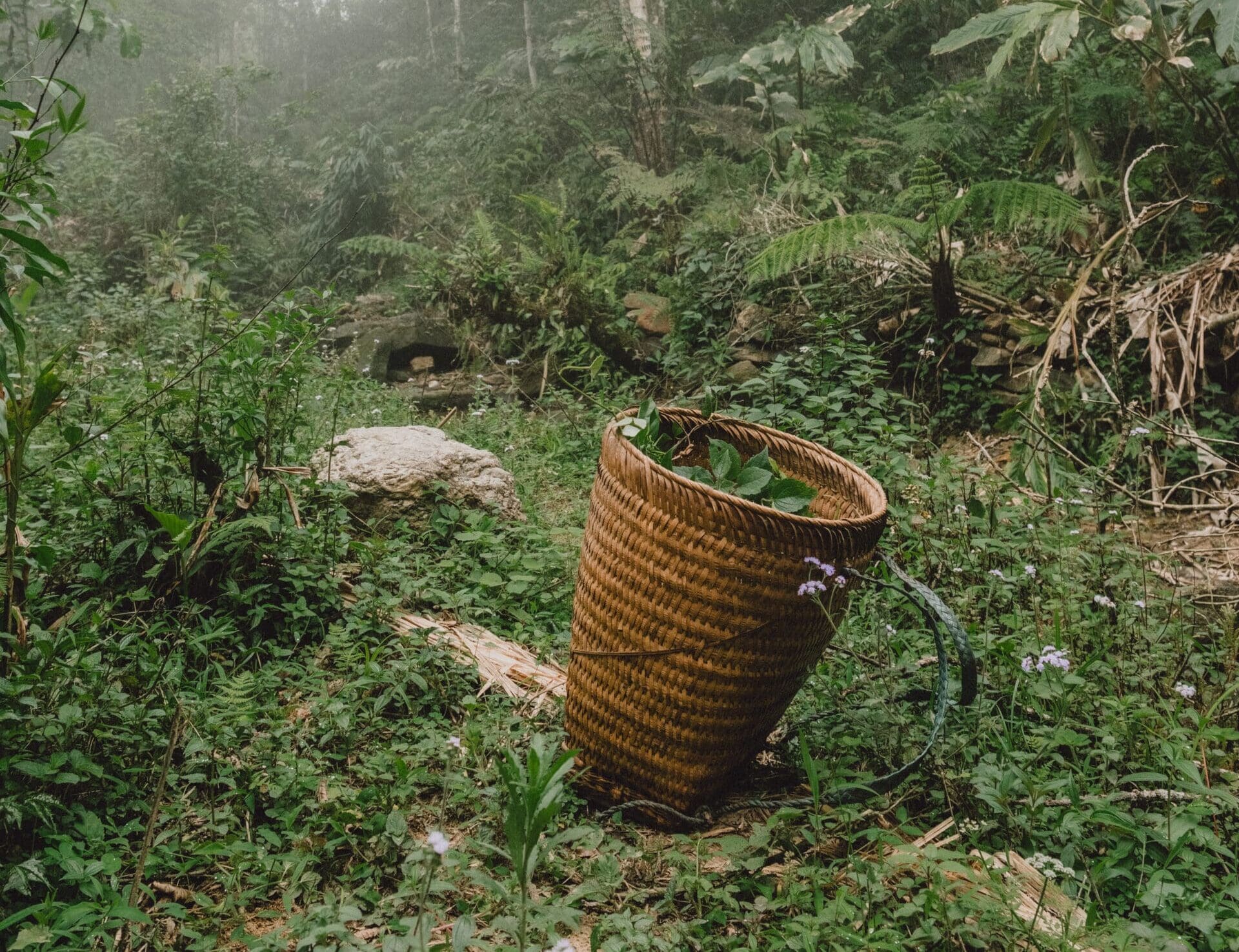 Authenic Things to Do in Sapa: Living with the Red Dao Community